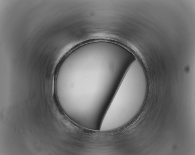 X0000090931323200707301106