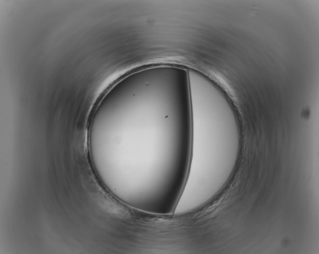 X0000090931324200707301106
