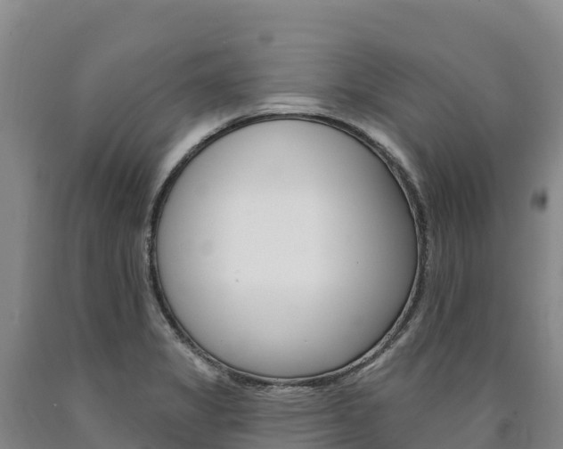 X0000090931325200707301106