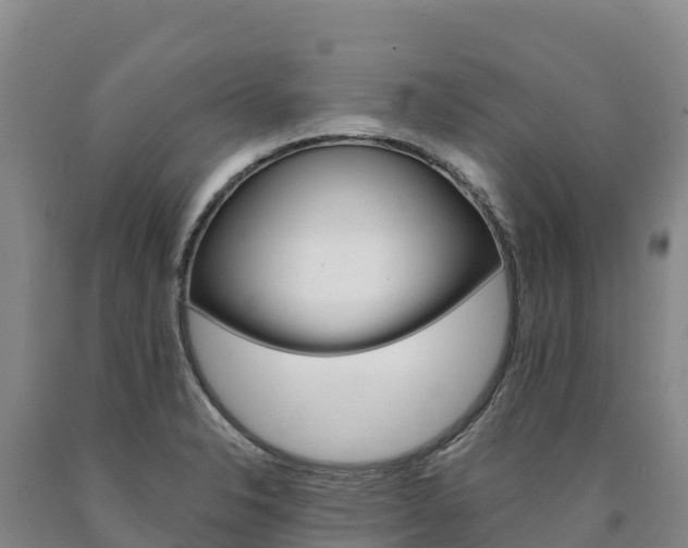 X0000090931326200707301106