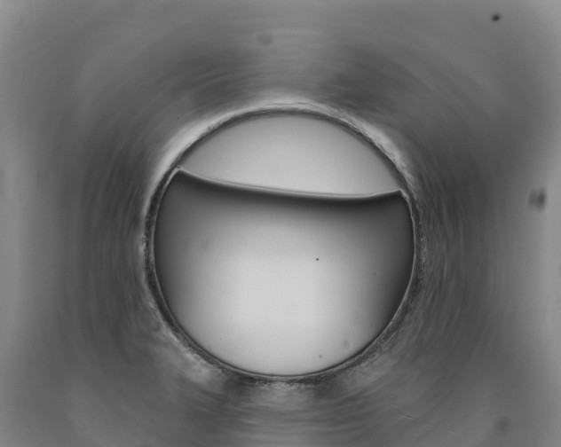 X0000090931327200707301107