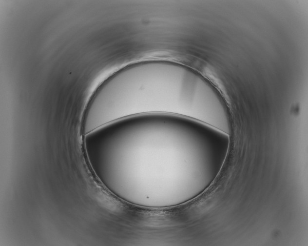 X0000090931328200707301107