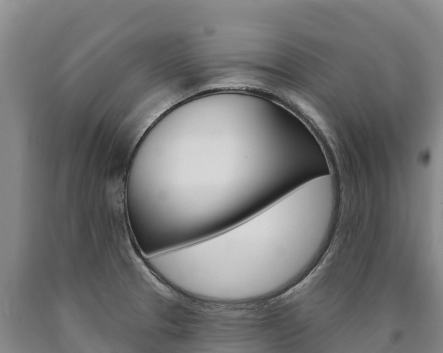 X0000090931329200707301107