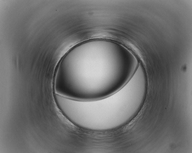 X0000090931330200707301107