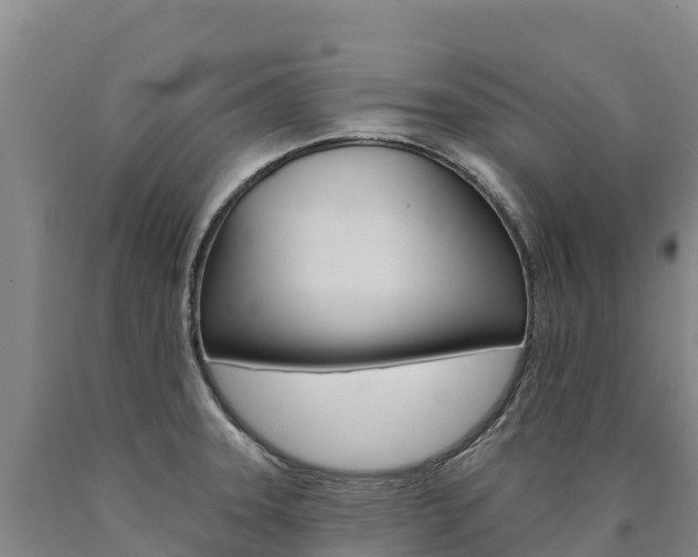 X0000090931331200707301107