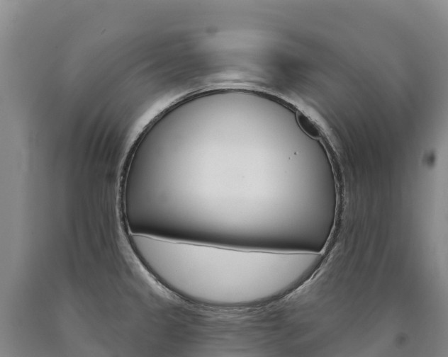 X0000090931333200707301107