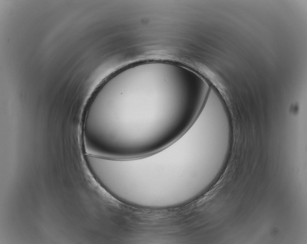 X0000090931334200707301107