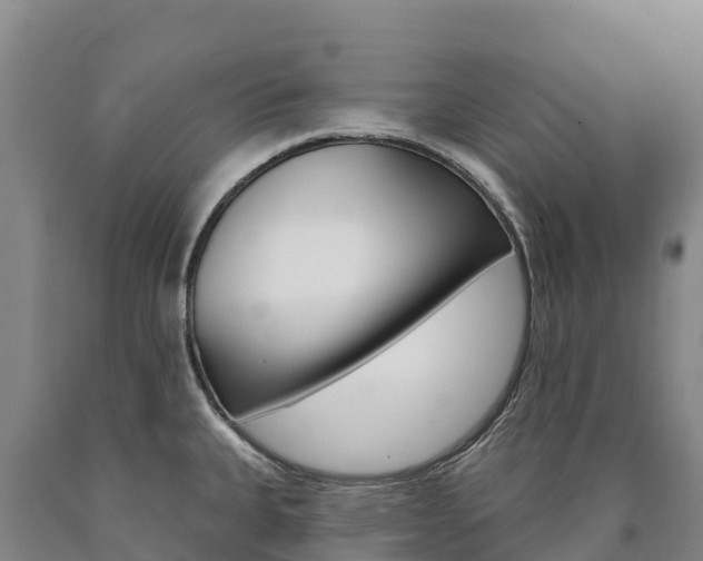 X0000090931335200707301107