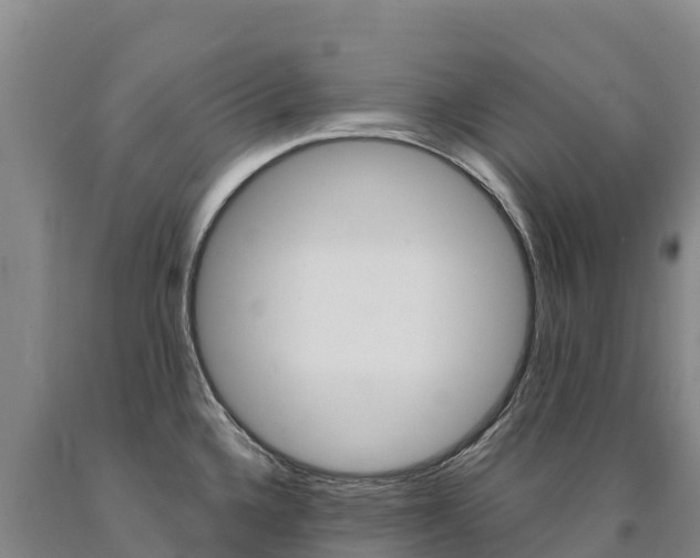 X0000090931336200707301107