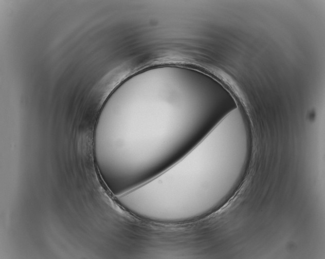 X0000090931337200707301107