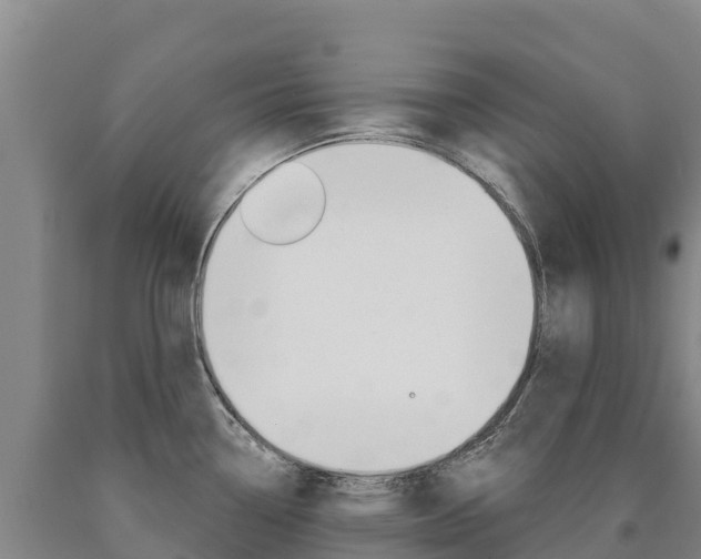 X0000090931338200707301107