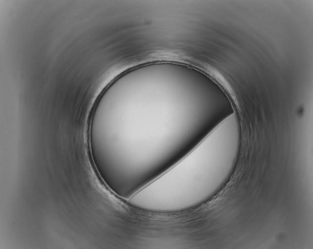 X0000090931339200707301107