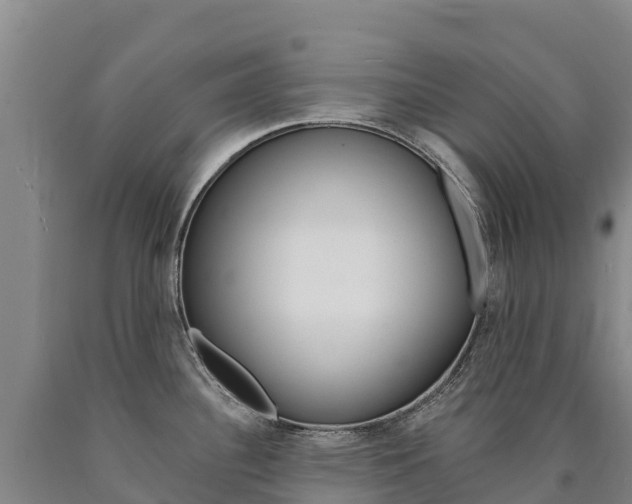 X0000090931340200707301107