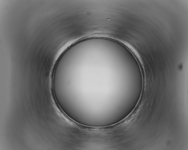 X0000090931341200707301107