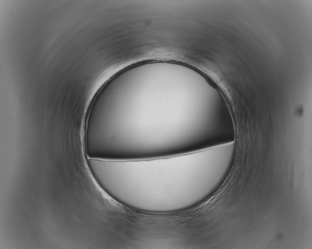 X0000090931343200707301107