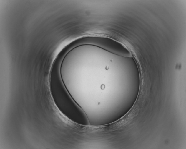 X0000090931344200707301107