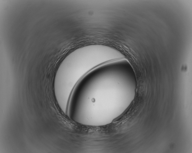 X0000090931345200707301106