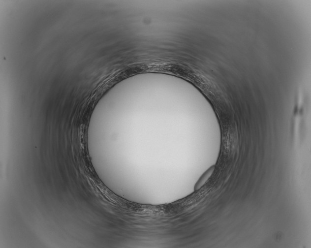 X0000090931346200707301106