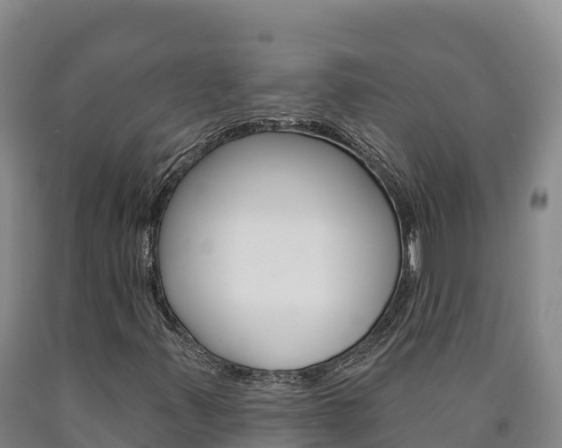 X0000090931347200707301106