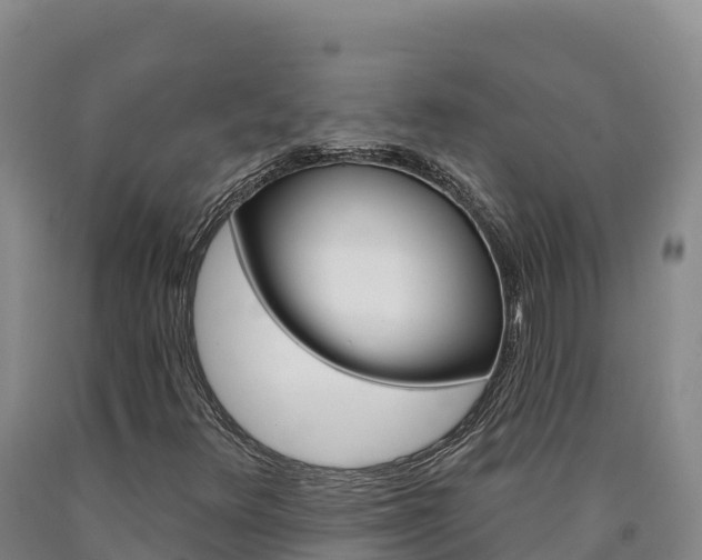 X0000090931348200707301106