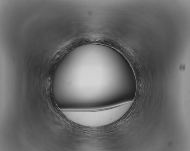X0000090931349200707301106
