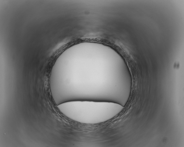 X0000090931350200707301106
