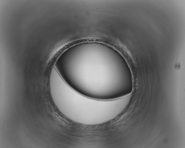 X0000090931352200707301106