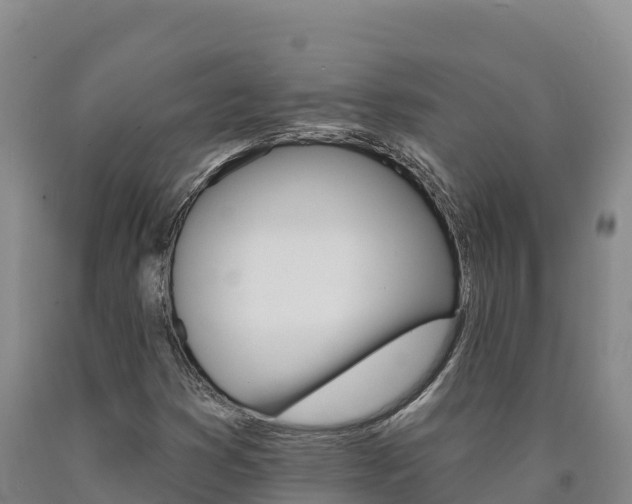 X0000090931353200707301106