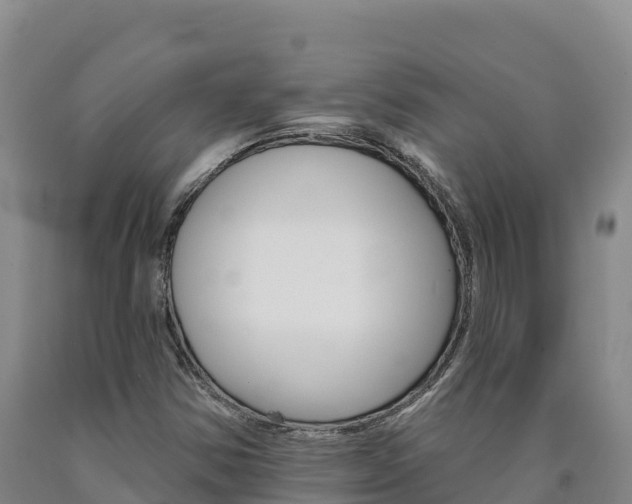 X0000090931354200707301106