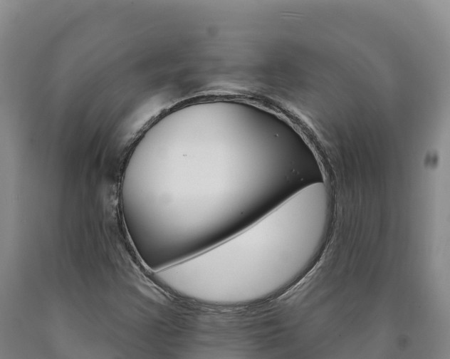X0000090931355200707301106