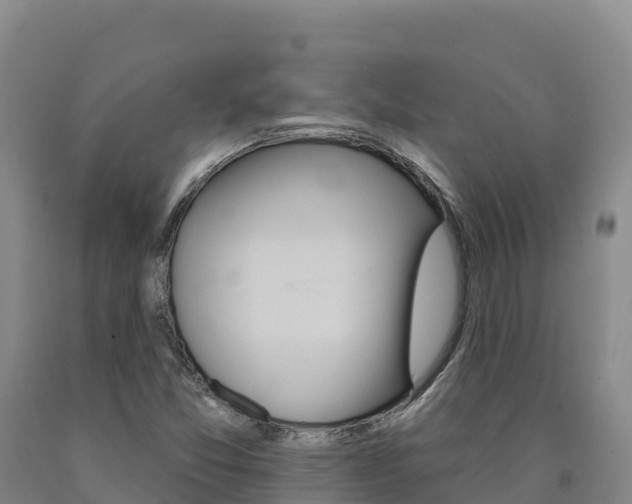 X0000090931357200707301106