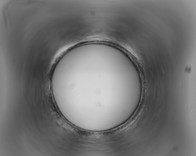 X0000090931358200707301106