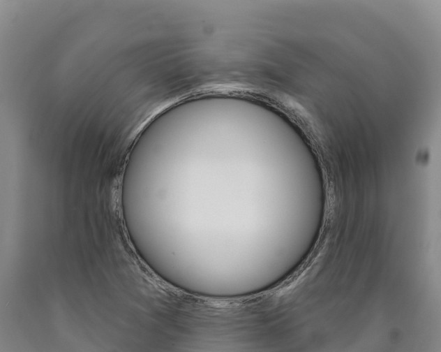 X0000090931361200707301106