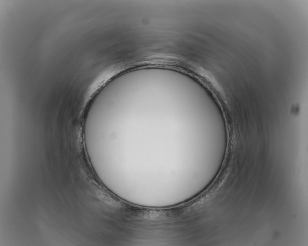 X0000090931362200707301106