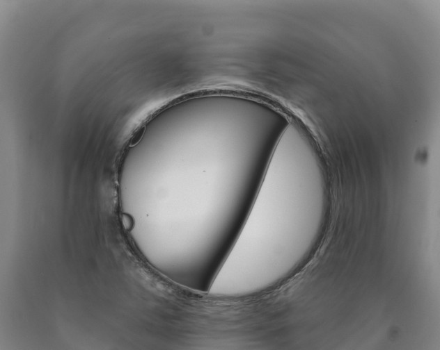 X0000090931363200707301106