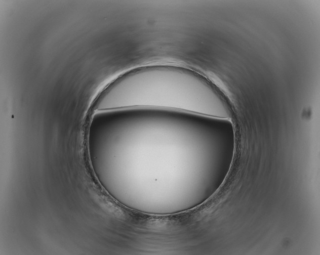 X0000090931364200707301106