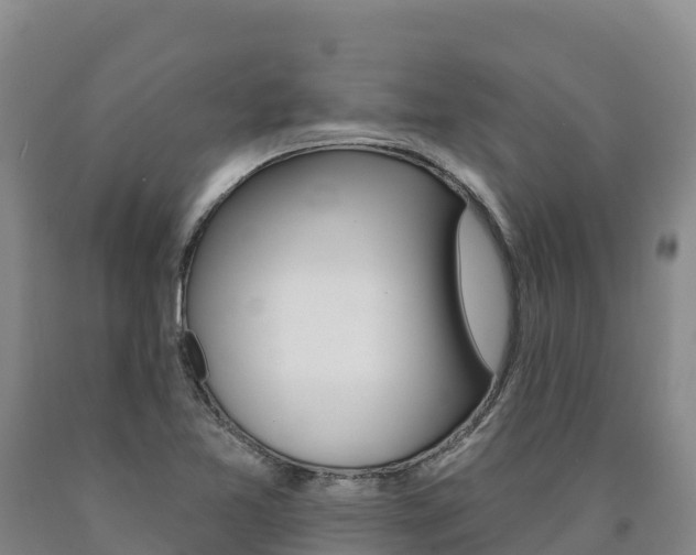 X0000090931365200707301106