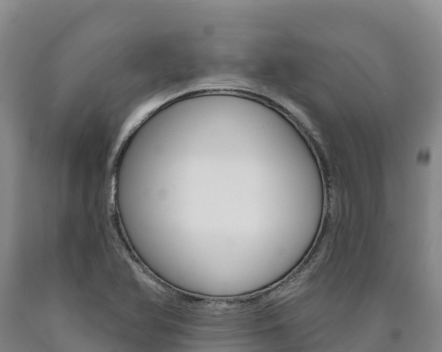 X0000090931366200707301106