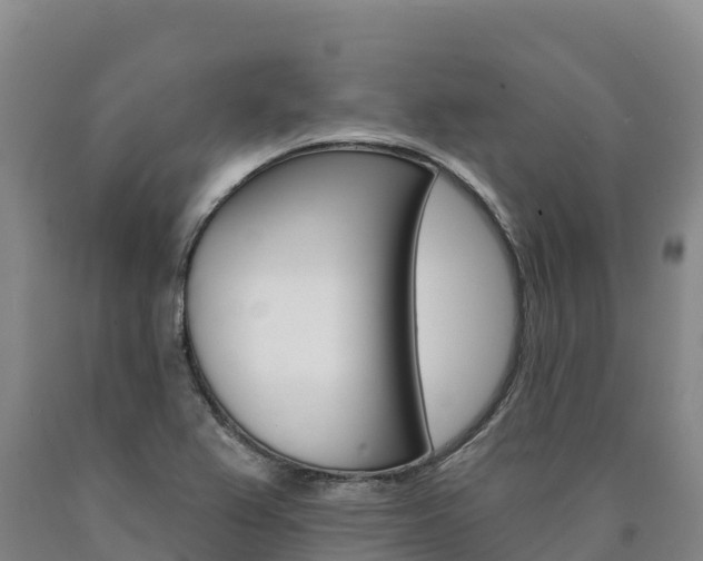 X0000090931367200707301106