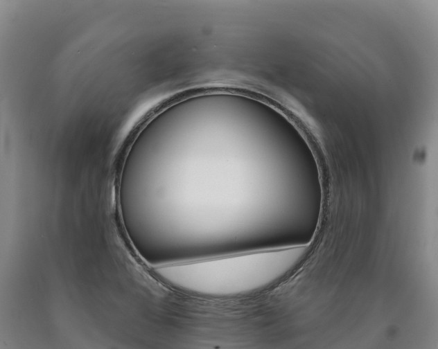 X0000090931368200707301106