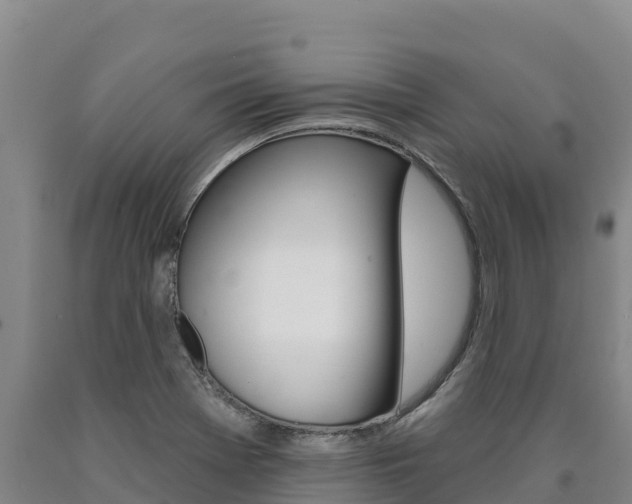 X0000090931369200707301106