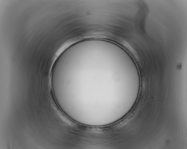 X0000090931370200707301106
