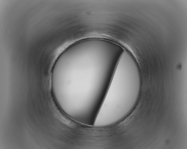 X0000090931371200707301106