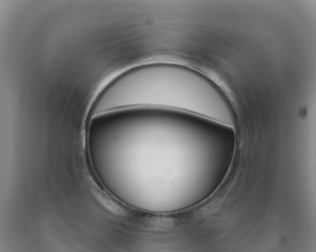 X0000090931372200707301106