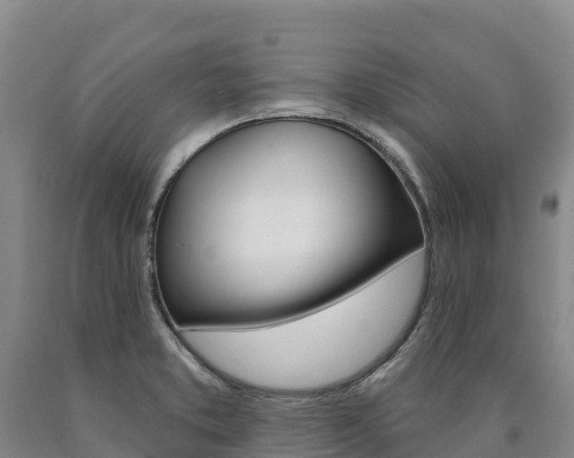 X0000090931373200707301106