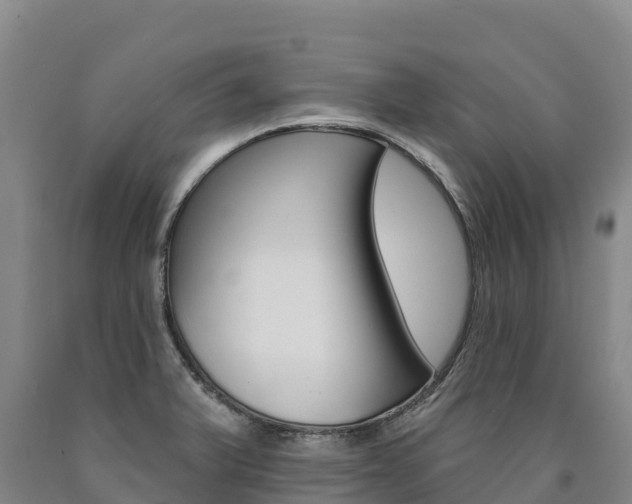 X0000090931375200707301106