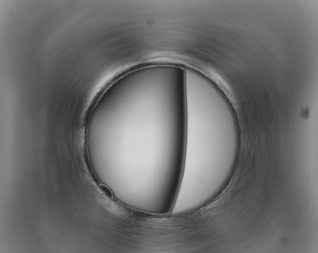 X0000090931376200707301106