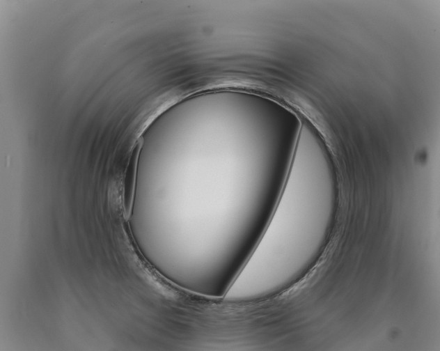 X0000090931377200707301106