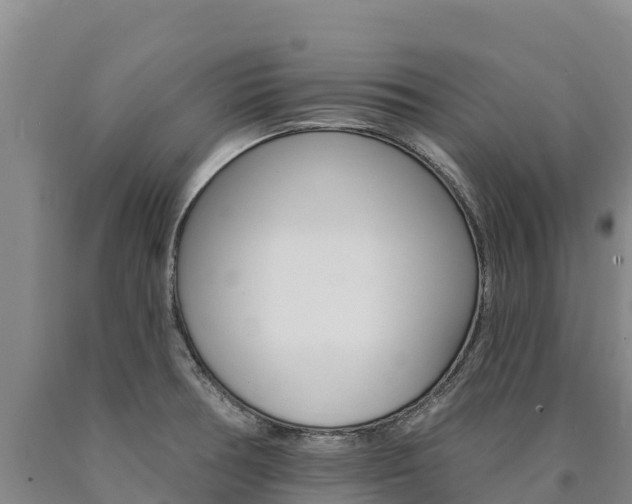 X0000090931378200707301106