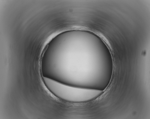 X0000090931381200707301106